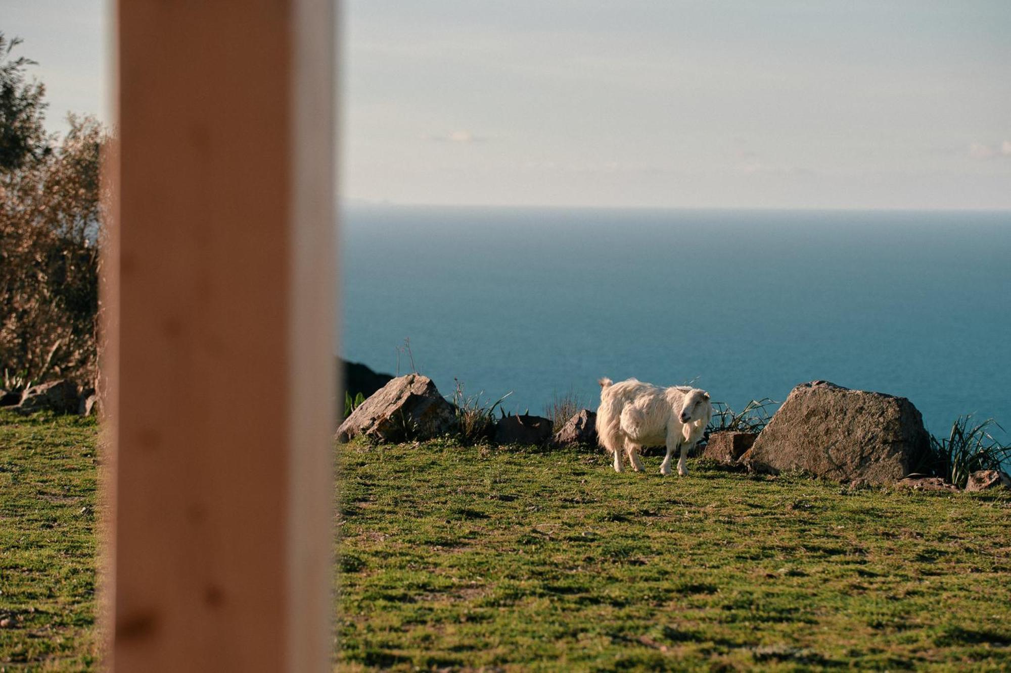 New Suites Sea View Sardinia, กัสเตลซาร์โด ภายนอก รูปภาพ